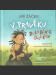 V pravěku bylo blaze člověku - náhled