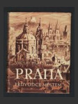 Praha průvodce městem - náhled