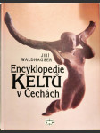 Encyklopedie Keltů v Čechách - náhled