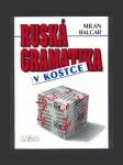 Ruská gramatika v kostce - náhled