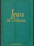 Jews in Silesia - náhled