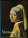 Vermeer - náhled