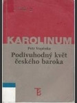 Podivuhodný květ českého baroka - (první přednášky o teorii množin) - náhled