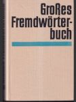 Grosses Fremdwőrterbuch - náhled