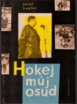 Hokej - můj osud - náhled