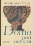 Doma pod oknami - náhled