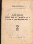 Ruinen der Mittelalterlichen Burgen Ober-Osterreichs im Auftrage der Kais - náhled