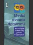 Medzi dvoma domovmi - náhled