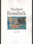 Vladimír Boudník - náhled