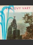 Karlovy Vary - náhled