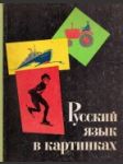 Russkij jazyk v kartinkach - náhled