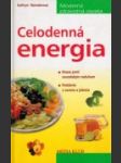 Celodenná energia - náhled