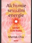 Alchymie sexuální energie - náhled