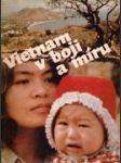 Vietnam v boji a míru - náhled