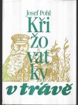 Křižovatky v trávě - pro čtenáře od 11 let - náhled