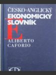 Česko-anglický ekonomický slovník - náhled