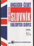 Anglicko český slovník frázových sloves - náhled