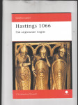 Válečná tažení: Hastings 1066 (Pád anglosaské Anglie) - náhled