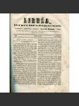 Libuša – List pro lid a domácnost, roč. II (1864) - náhled