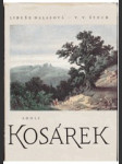 Adolf Kosárek - obr. monografie - náhled