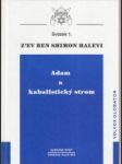 Adam a kabalistický strom - náhled