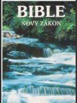 Bible - Nový zákon - náhled