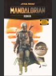 Star Wars - Mandalorian (Star Wars: The Mandalorian Junior Novel) - náhled