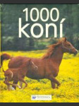 1000 koní - náhled