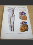 Základy anatomie a fyziologie člověka - náhled