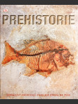 Prehistorie - náhled