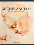 Michelangelo: The Drawings of a Genius - náhled