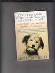 Dogs that know when their owners are coming home - náhled