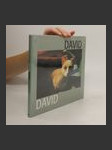 David (duplicitní ISBN) - náhled