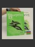 Blueprint Two (pracovní sešit a učebnice) - náhled