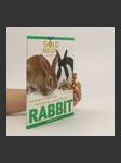 Golden Tips for Keeping Your First Rabbit - náhled