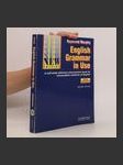 English grammar in use. A self-study reference and practice book for intermediate students of English. - náhled