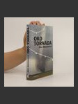 Oko tornáda - náhled