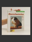 Meerschweinchen - náhled