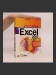 Microsoft Office Excel 2003 : podrobná uživatelská příručka - náhled