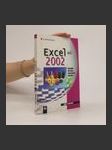 Excel 2002 : podrobný průvodce pokročilého uživatele - náhled