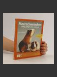 Meerschweinchen - náhled