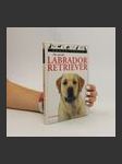 Du och din Labrador Retriever (švédsky) - náhled