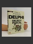 Učíme se programovat v Delphi a jazyce Object Pascal - náhled