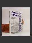 Cizinci v Praze - náhled