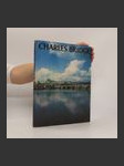 Charles Bridge - náhled