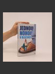 Jednou nohou v blázinci - náhled