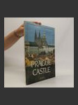 The Prague Castle - náhled