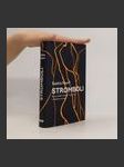 Stromboli : syrový příběh o hledání v manželství, o hledání po rozvodu (duplicitní ISBN) - náhled