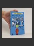 The Secret Diary of Adrian Mole Aged 13 3/4 - náhled