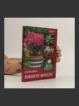 Pokojové rostliny : encyklopedie - náhled